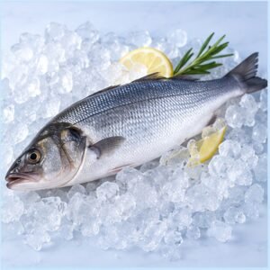 ZEIDAN professional food-service product