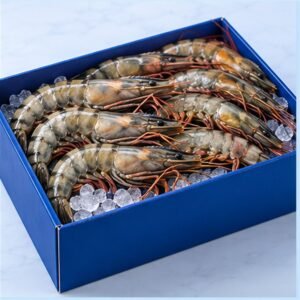ZEIDAN professional food-service product
